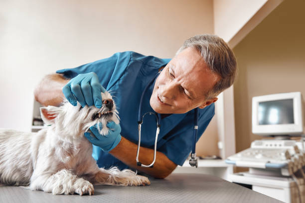 Best Emergency Root Canal Treatment in Georgetown, TX